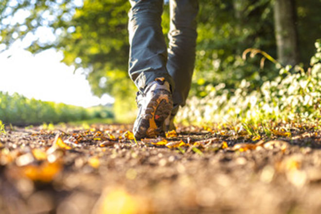 Wandelen | ABO Hellevoetsluis